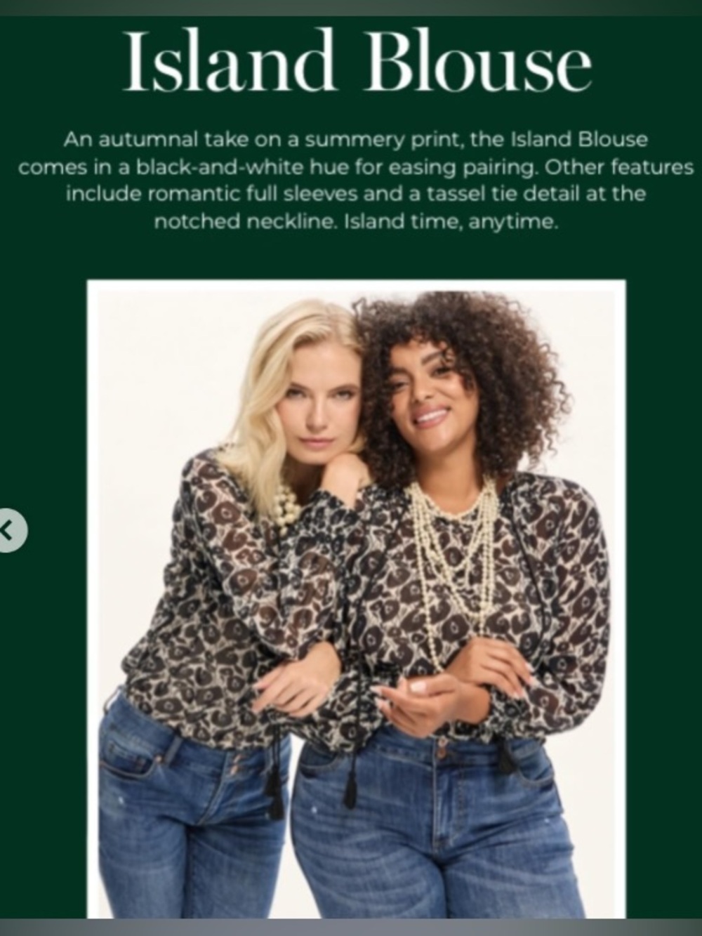 Cabi Style 8048 Island Blouse Spring 2023 - like new!